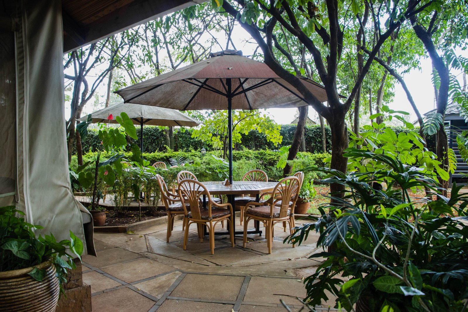 Garden 4